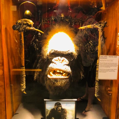 Lifelike King Kong head prop on display at Wētā Cave in Wellington, New Zealand, highlighting the world-class special effects used in blockbuster films.
