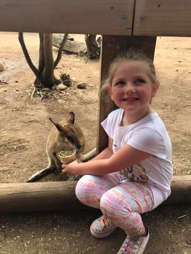Kid traveler Harper hand-feeding a kangaroo at Featherdale Wildlife Park in Sydney, enjoying an up-close wildlife experience during a family adventure in Australia.