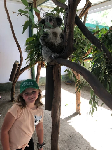 kid traveler Harper standing beside a koala at Featherdale Wildlife Park in Sydney, enjoying a close-up Australian wildlife experience during a family adventure.