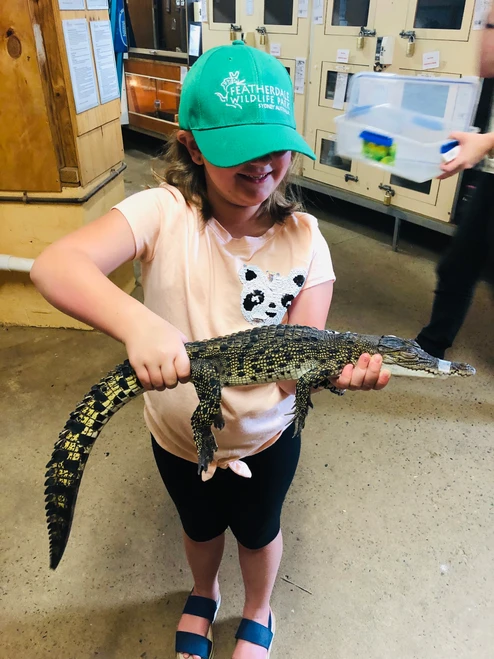 kid traveler Harper holding a baby crocodile at Featherdale Wildlife Park in Sydney, experiencing an interactive and educational Australian wildlife adventure.