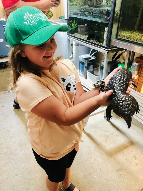 traveler Harper holding a native Australian lizard, engaging in an up-close reptile experience during her family adventure at Featherdale Wildlife Park.
