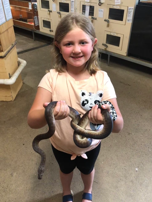 kid traveler Harper bravely holding a snake at Featherdale Wildlife Park in Sydney, experiencing hands-on learning with native Australian reptiles during a family adventure.