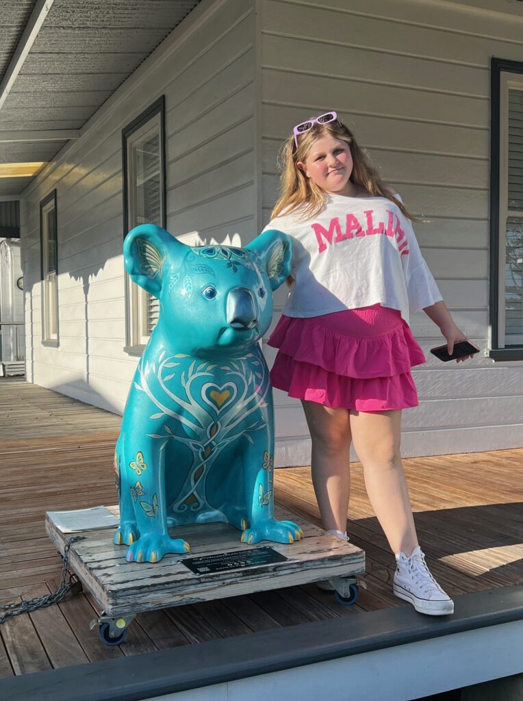 Painted Koala
