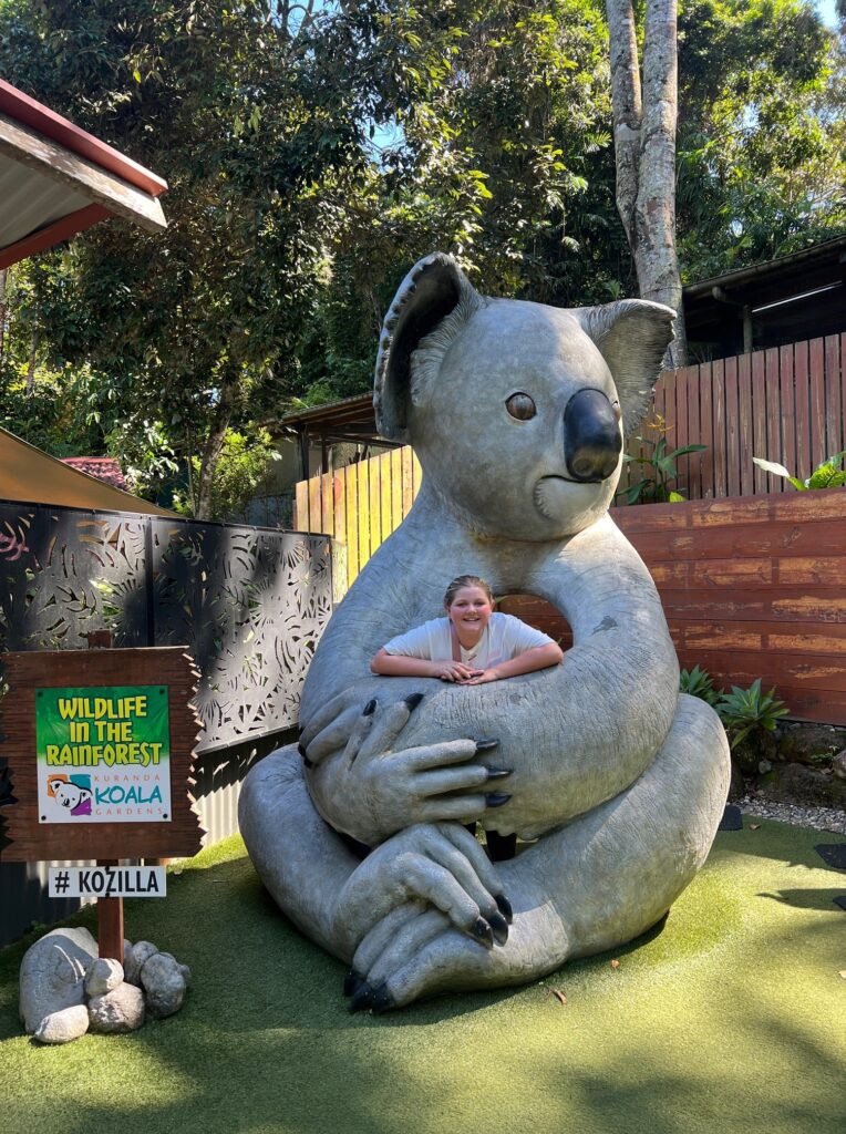 Koala holding harper