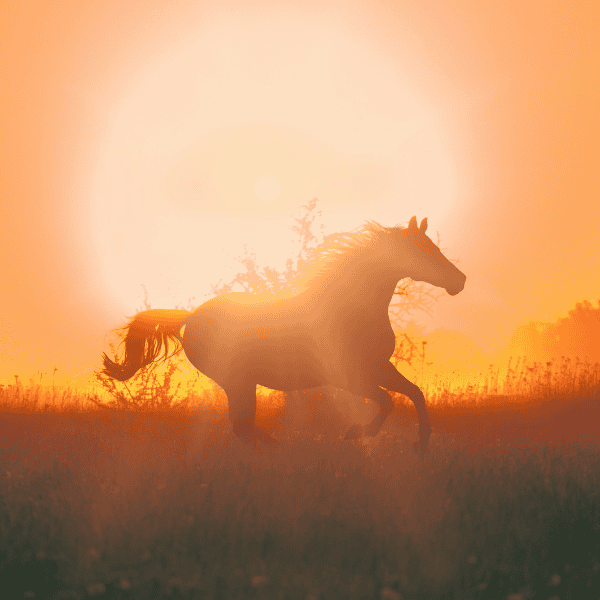 Ride Into the Year of the Horse: 10 Luxury Family Travel Destinations for the Bold & Free