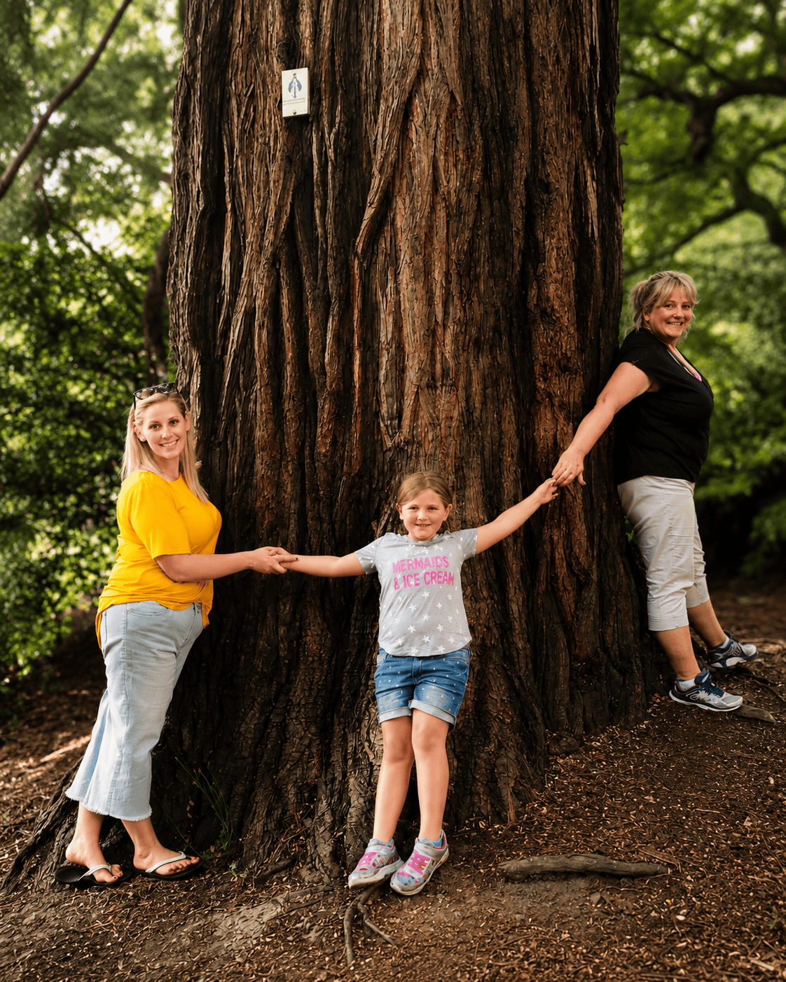 Three generations joining hands around the trunk of an enormous tree